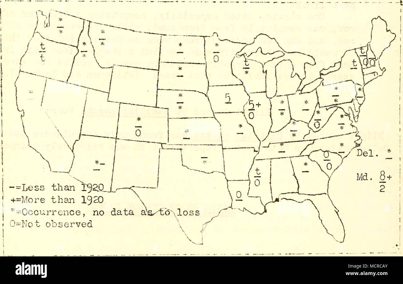 . Pig. b3- Occurrence of and percentage losses from Pseudopeziza Hiedicag- inis (above line) and Pyrenopeziza medicaginis (belov; line) in I92I. Rust caused by Uromyces medicaginis Pass. Rust was reported from several states although it apparently did little damage in any of them. In North Carolina it was unimportant and occurred mostly in the Piedmont and Mountain counties; in Mississippi it v/as unimportant ani occurred locally; in Louisiana the importance was considerable, according to Edgerton; in Texas there v/as a slight trace in the Rio Grande Valley. It Stock Photo