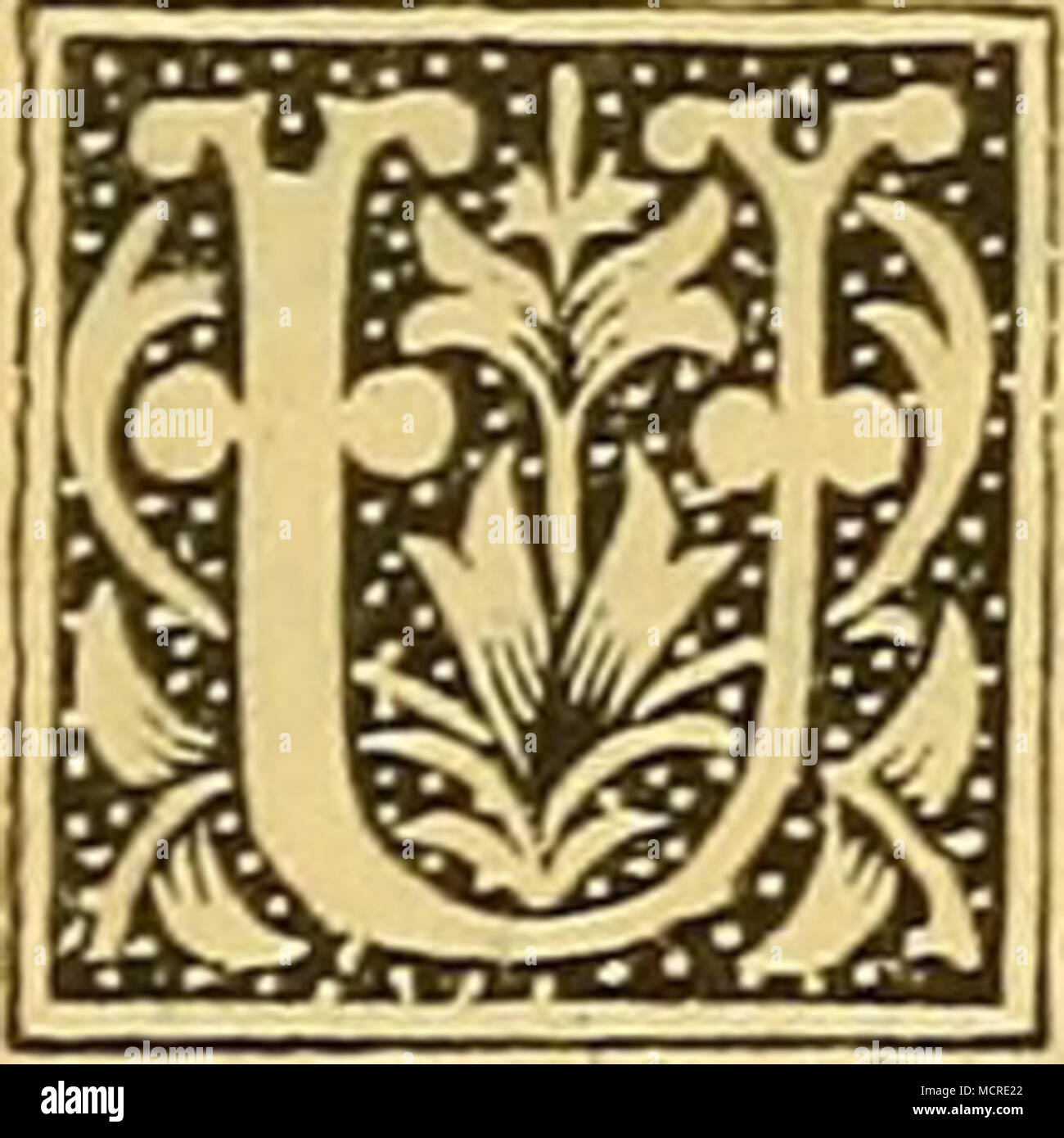 Birgt High Resolution Stock Photography And Images Alamy