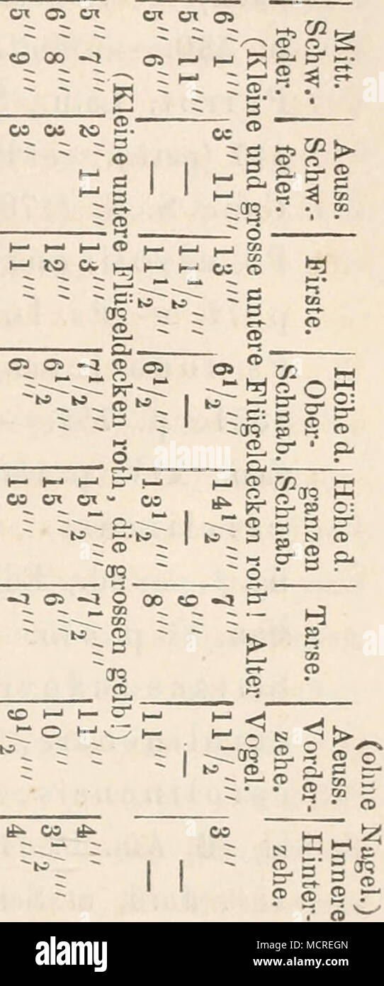 Ea O E High Resolution Stock Photography And Images Alamy