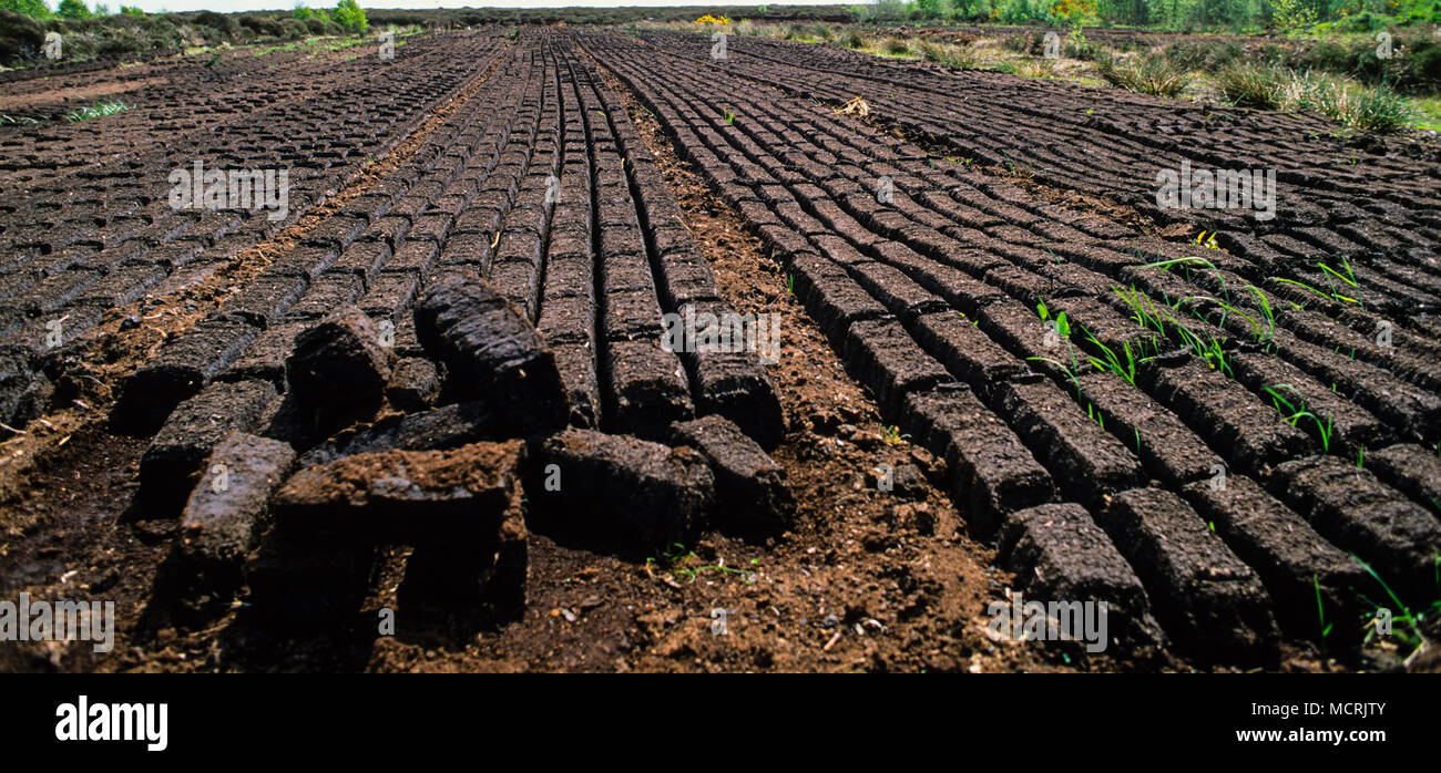 Peat Cutting for Fuel, Roundstone Blanket Bog, Connemara, County Galway, Ireland, Europe. Stock Photo