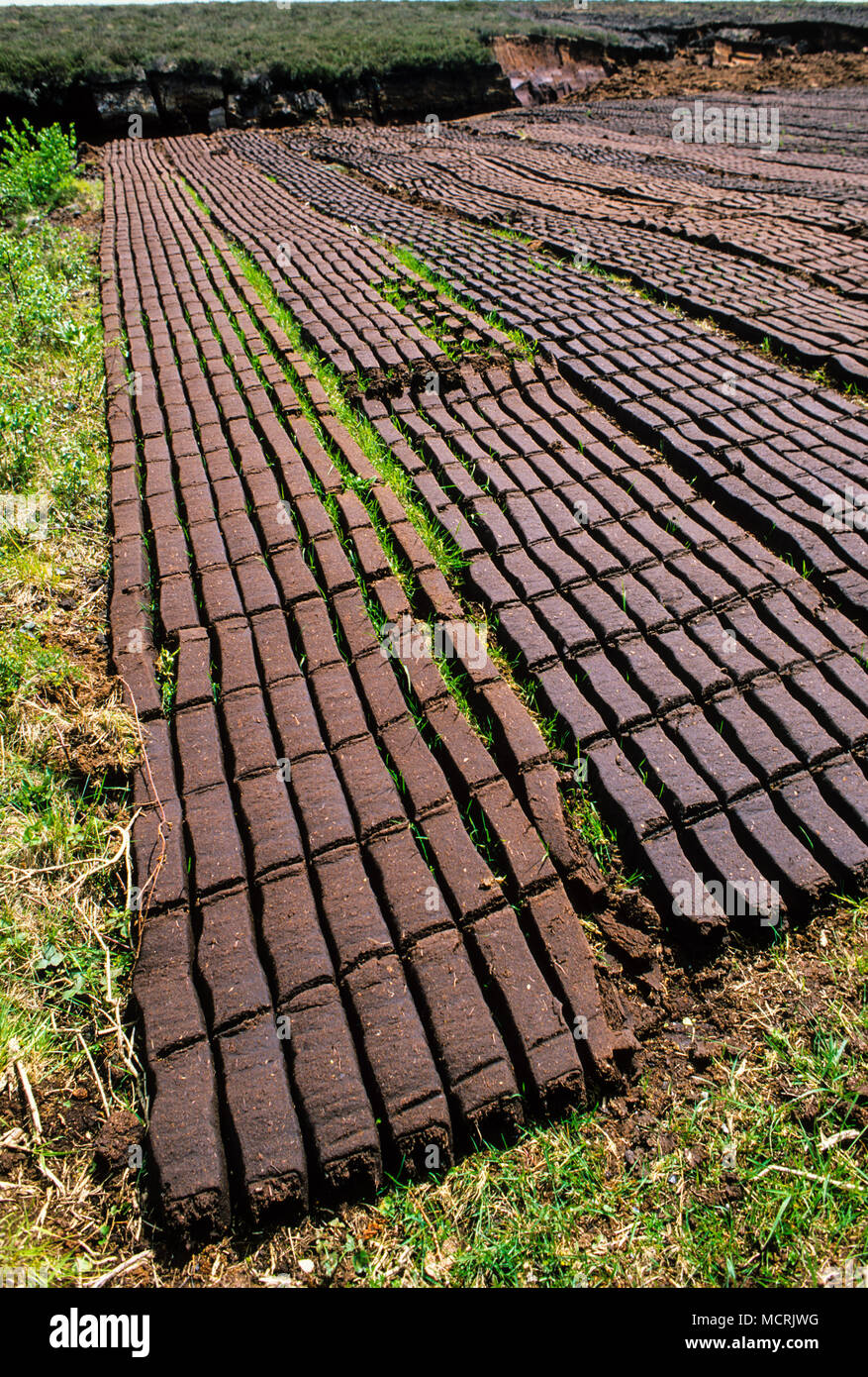 Peat Cutting for Fuel, Roundstone Blanket Bog, Connemara, County Galway, Ireland . Stock Photo
