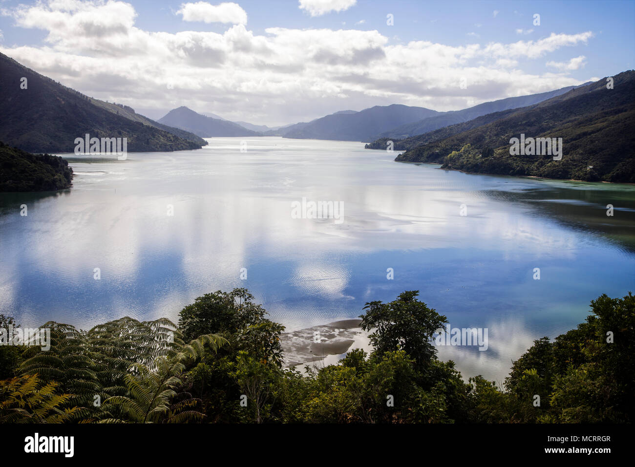 Looking down Pelorus Sound in the Marlborough Sounds Maritime Park, South Island, New Zealand. Stock Photo