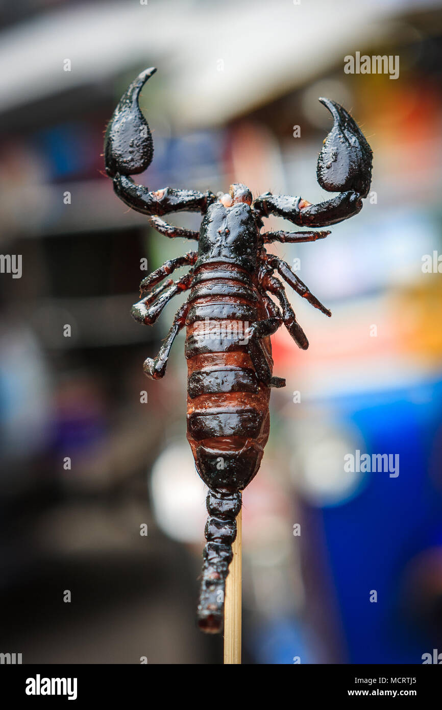 Detail of a scorpion skewer at a street food stall in Khao San Road, Bangkok, Thailand Stock Photo