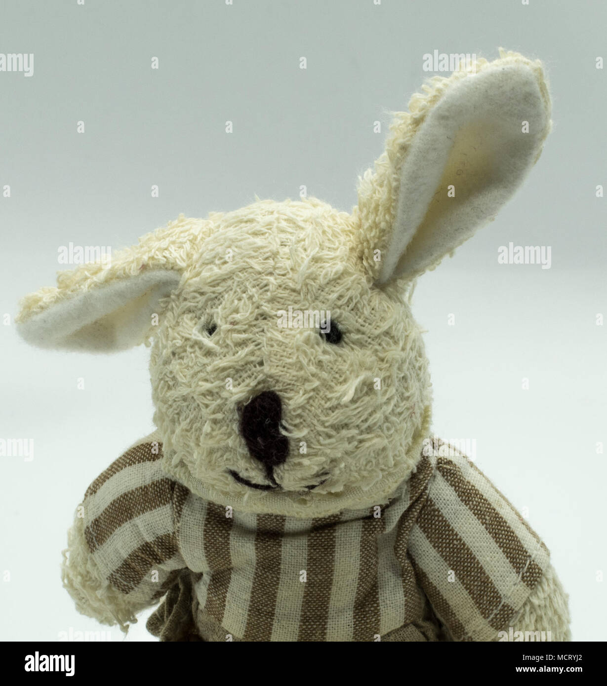 Cute plush bunny Stock Photo