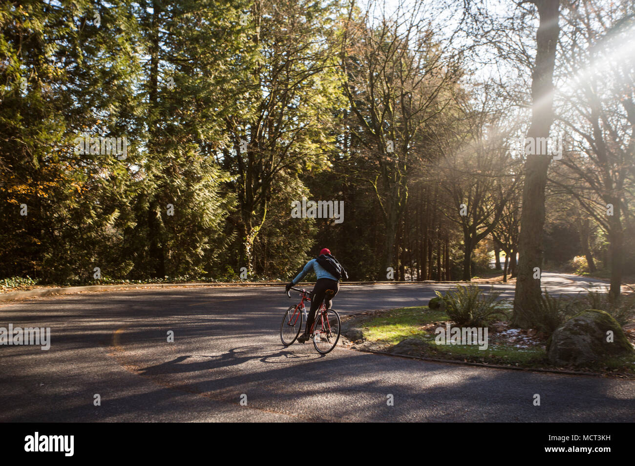 Man cycling on road surrounded by trees, Seattle, Washington State, USA Stock Photo