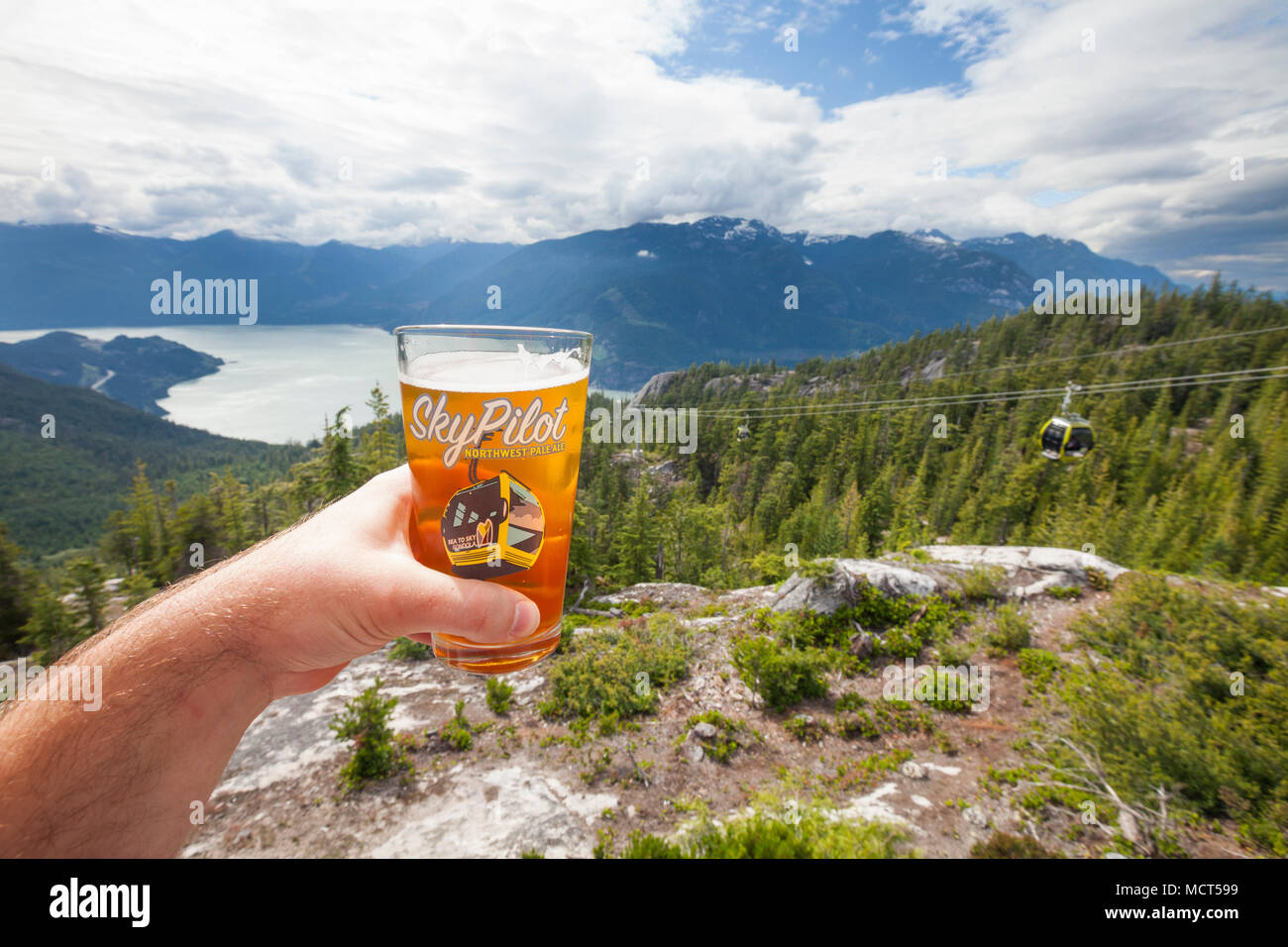 Man holding ice cold beer near summit of Sea to Sly Gondola, Squamish, British Columbia, Canada Stock Photo