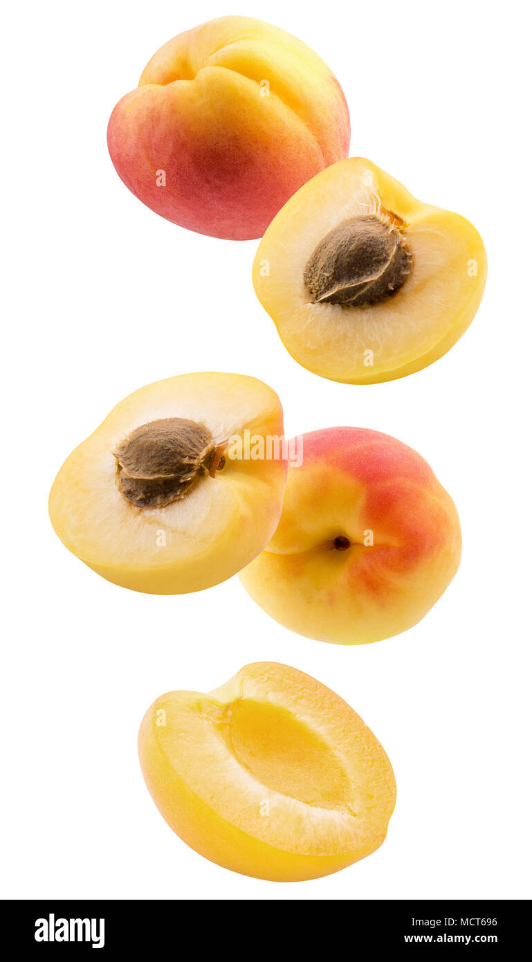 collection of apricots isolated on a white background Stock Photo - Alamy