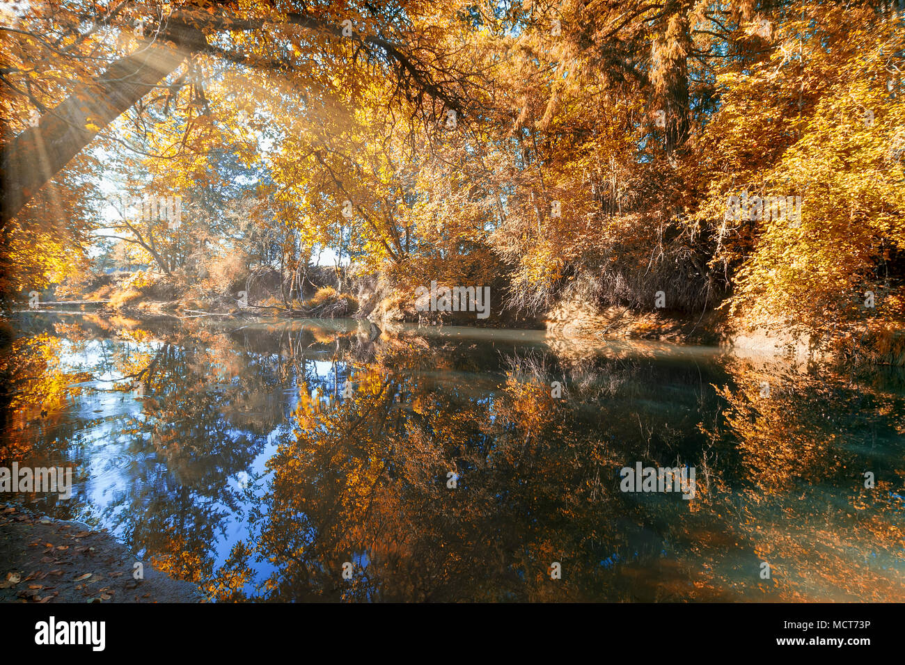 Reflection on Crabtree Creek in Linn County Oregon during fall season Stock Photo
