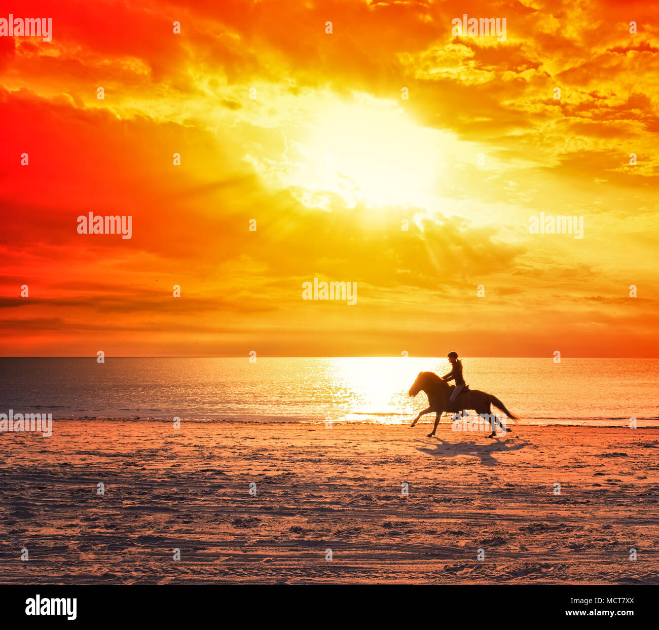 Woman Riding Horse Into Sea High Resolution Stock Photography and ...