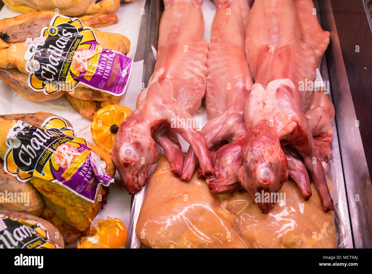 Selling clearance rabbit meat