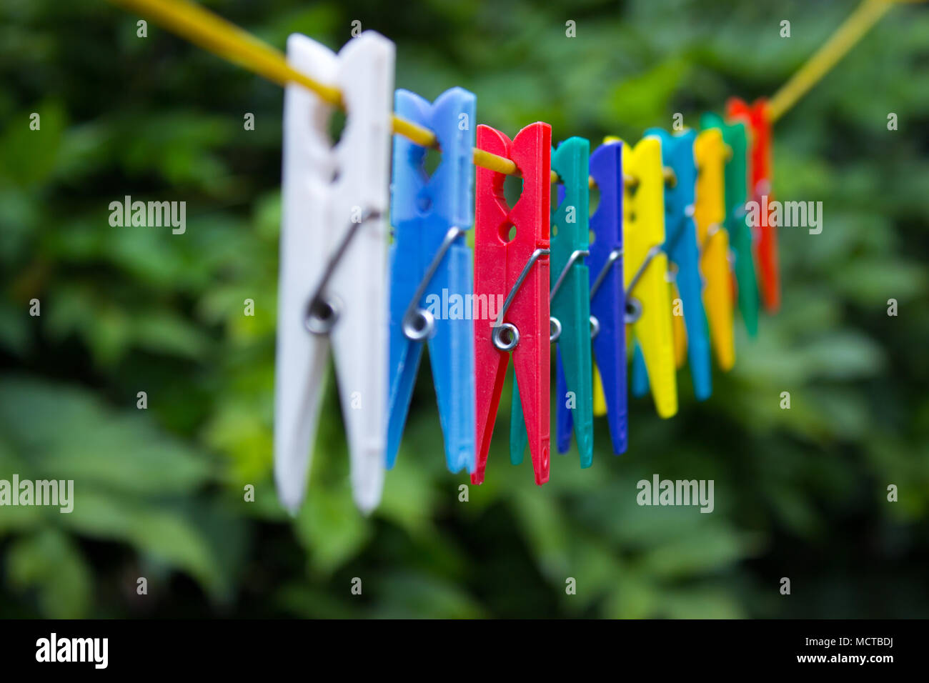 Colorful clothespins hanging on a clothesline. In the background are the trees. Stock Photo