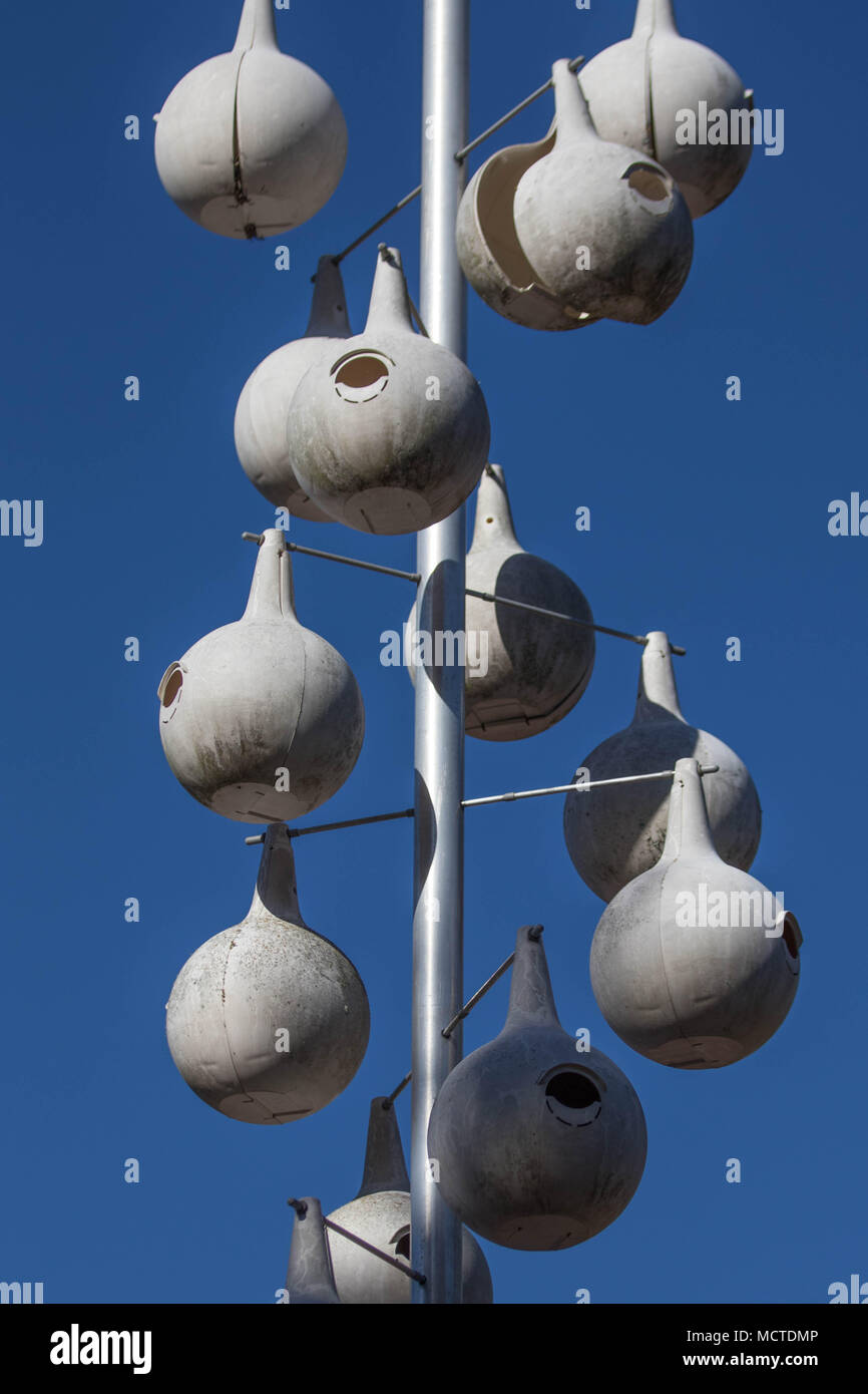 Handmade birdhouses formed from dried gourds hang in a garden in San Antonio, Texas. Stock Photo