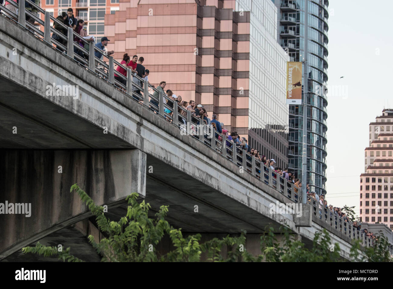 A crowd gathers, waiting for a colony of bats to emerge from under the