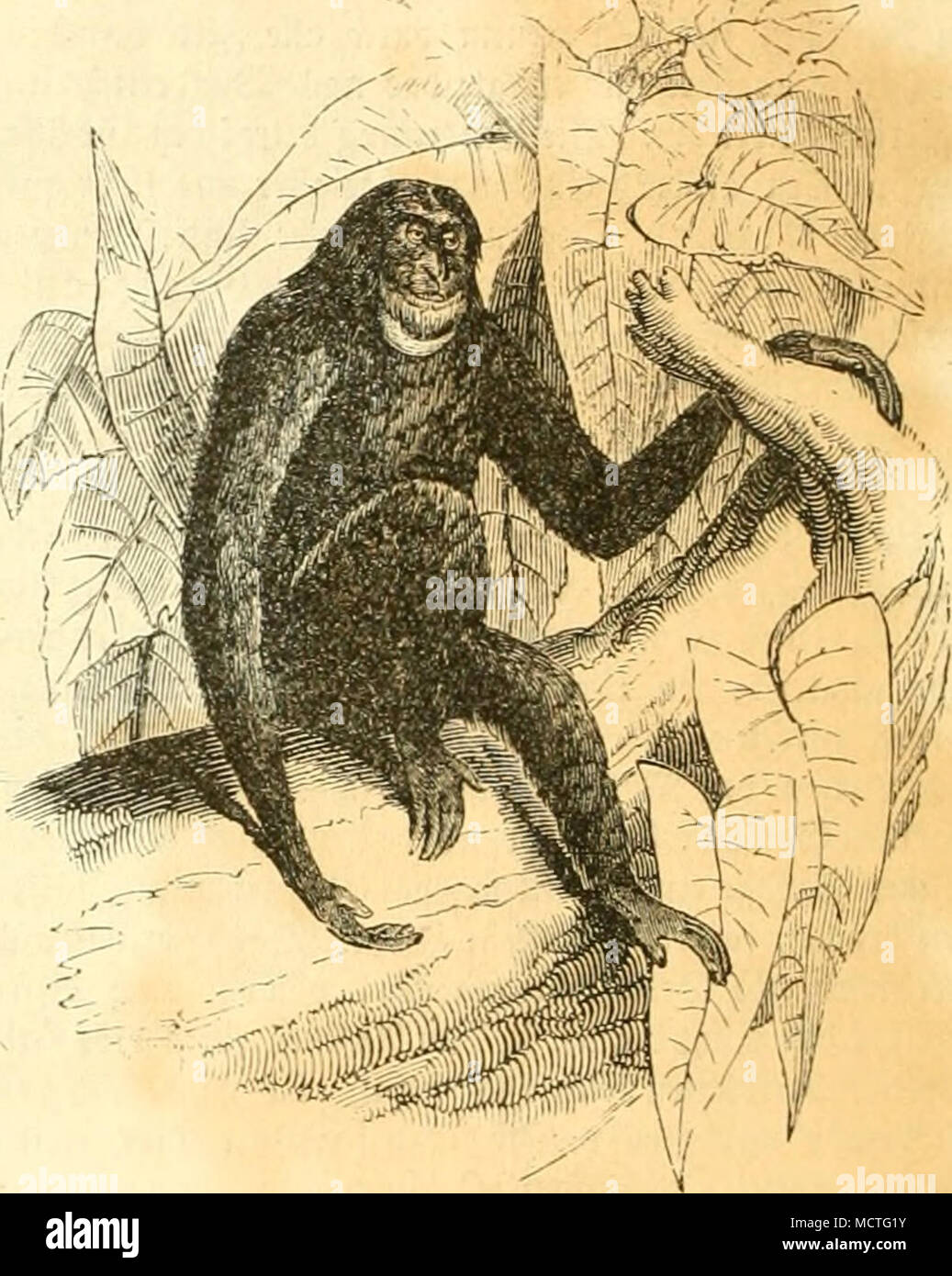 Ldu High Resolution Stock Photography And Images Alamy