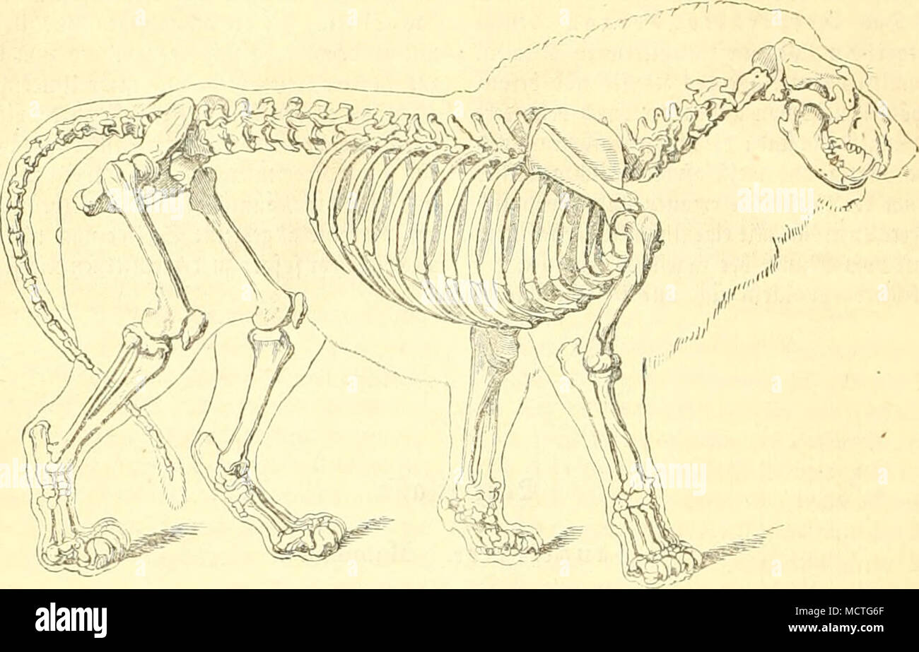 Eben Et High Resolution Stock Photography And Images - Alamy