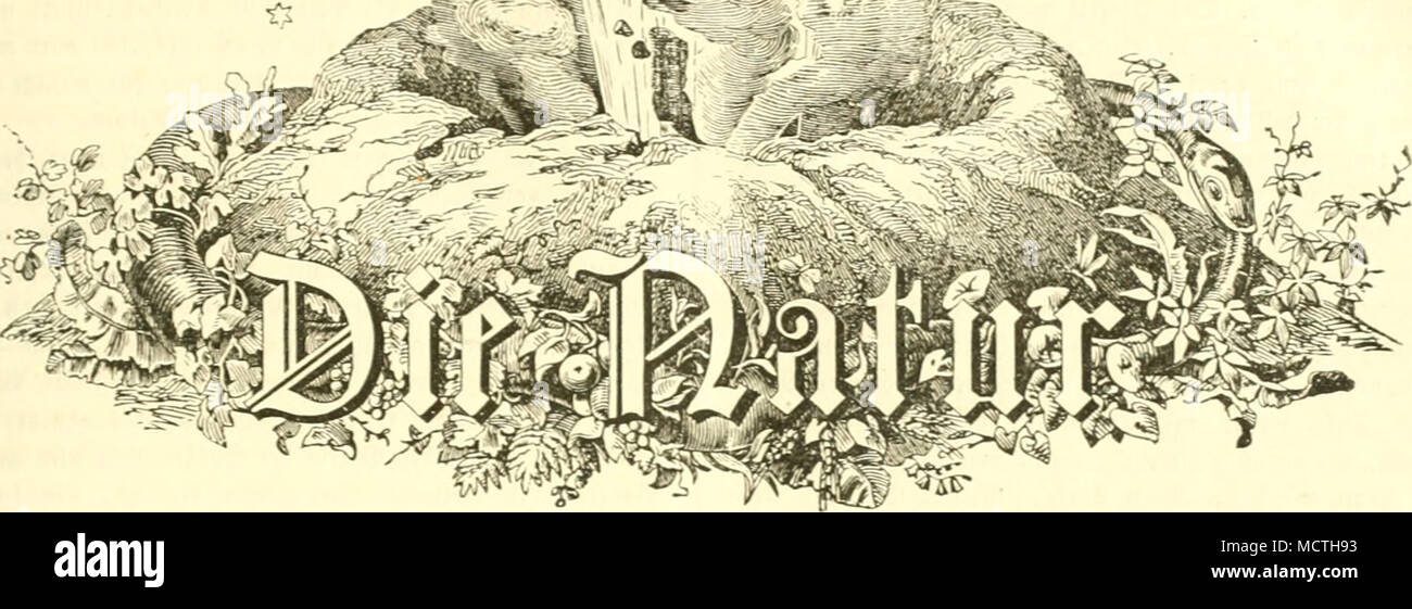 . Teilung 3ur llerbreitunÃ¼ natunDiffenfdiaftlidier iunntniS nnti llaturanfdiaaung fÃ¼r fcfcr aller 5tÃ¤nlic. (Argan bed âX^cutfchcn Â»^umbolbt = SScrctnÂ«&quot;.) â V c t a u 5 (1 c ;X c b e n r o n Dr. CDtto nie unb ])r. fiarl ÃlÃ¤lUr Â»on ^ale. jy. 4Â« â [einuntjtBan^igftÂ« Sa^rganj.] goÃ¼t, G. e^toetf*fe&quot;f4er Â»erlafl. 24. Sanuar 1872, 3n(a[t: Silfcer au? ter JJortpoIainjelt, Bon Otto Itle. 1. 6ine gabrt auf ^tm 6ife. 3weiter 9rtifel. â 66aTatterjÃ¼i(e aus Wtidiati f?a^a^ab'Ã¤ Seben unt Â©ittcn, Don ^einriit 'Sirnbaum. dtfter Ã¼tttitel. â @ef(6i(^tc beÂ« Sx^'^ai^'f Steinfofelenbau'Â«, Stock Photo