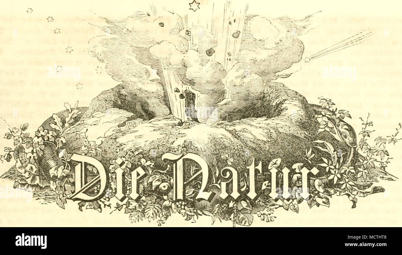 . Ifitunji 3ur Verbreitung naturtt)irrenfd)aftlid)er ^enntnili unö HotaranTdianung für fffcr aller StünDc. »Ijctauäaeflebcn von Dr. ®tto i(lc unb Dr. Äarl JlttlUr.Bon ^aüc. JF 20» [Sl^tje^ntet Sa^ang.] gflUf, ®. @(^tt.etf^fc'f*et »ettoß. 19. Wtai 1869» 3n5alt: 3?a« beutle ©aljlanti, vm fiar( 5Rüircr. -i. 2)ic eitucU-unFtc bec- Sal^tanfc^. — Sie Ifaräne, »on Ctto Ulc. ~ t&gt;ie eifel, von '4.1&amp;. SBiitflen. dritter 9Irtitcl. ©aö bcutft^c ©aljlrtnb. ion ;&amp; 0 2. Die (finjeliiu 3)ic tiöcbft allmaliiic SSilbung bei- mittelfurcp&gt;iifdicn l'anbfr ift baran fcliulb nerocfm, ba^ lanqe Seitriü Stock Photo