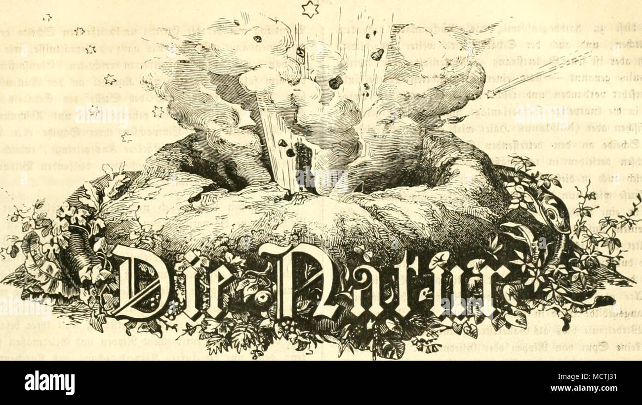 Download Unterbleibt HD