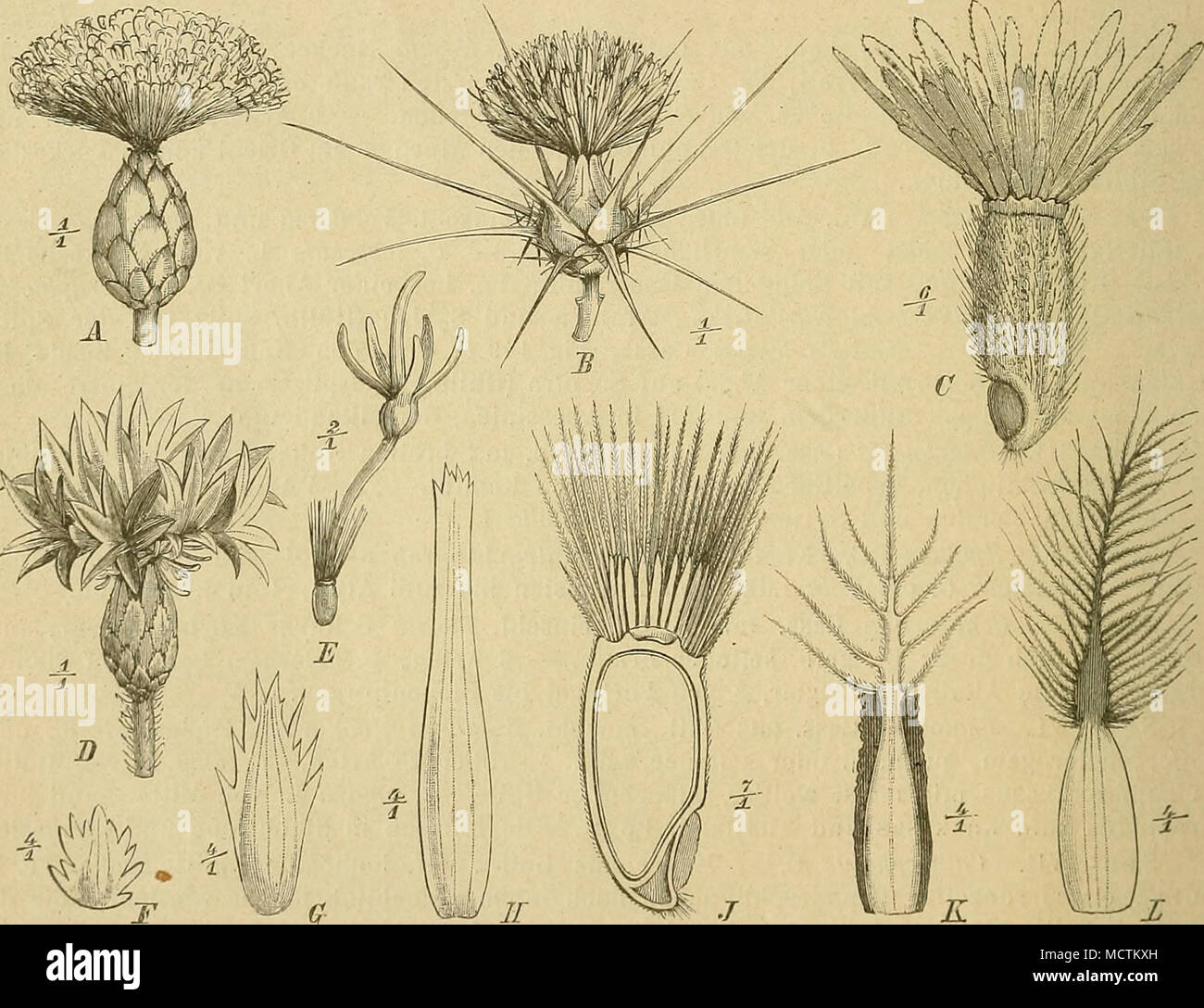 18 19 Bl High Resolution Stock Photography And Images Alamy