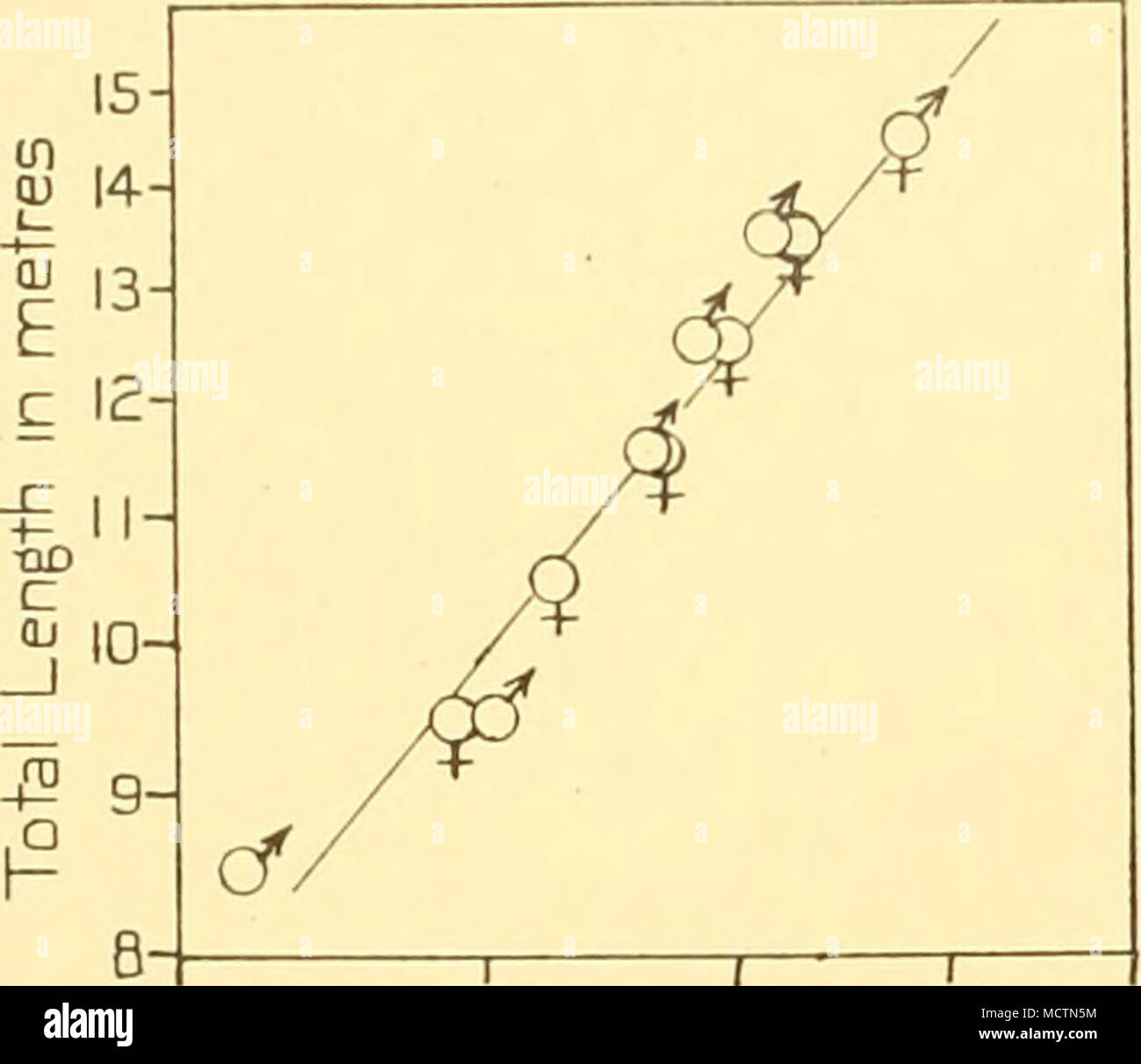 2 Z 5 3 3 5 4 Meanof Measurement N Ioin Metres Fig 68 Humpback Whale Logarithmic Plotting Of Total Length Against Measurement No Lo Notch Of Flukes To Centre Of Anus Ib Cn 5 O