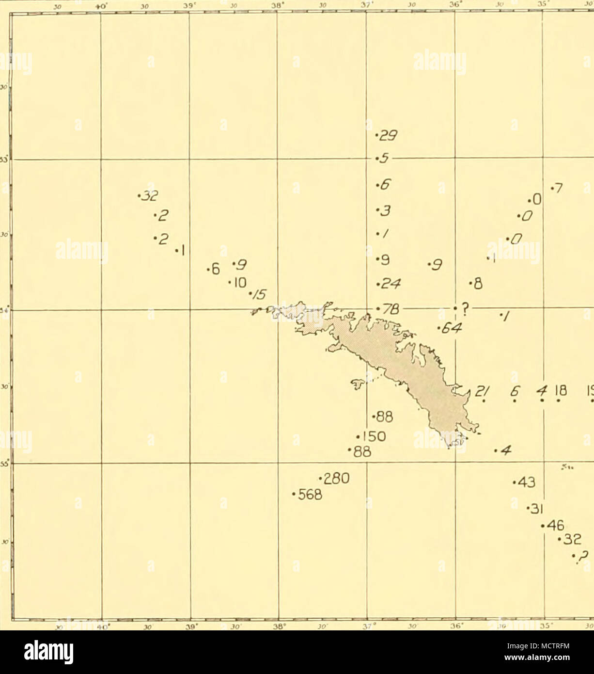 . 34 ya&quot; )?/ 6 4 18 19 36 3 O Jty 3-f Fig. 24. Distribution of plankton quantities around South Georgia, 1927-8, Sts. WS 144-93. 30 +0* 30 39* â¢/ I â¢/ I -â¢II&quot; â¢4 I â¢2 I â¢2 1 â¢/a â o â o -&amp;&amp;-â¬ V TSN St 1 8 ^ / e i2 J 40' .Â«â¢ 39* JO' 36* JÂ£&quot; 37*  3i  .'o 3+' Fig. 25. Distribution of plankton quantities around South Georgia, 1928-9, Sts. WS 257-96. Stock Photo
