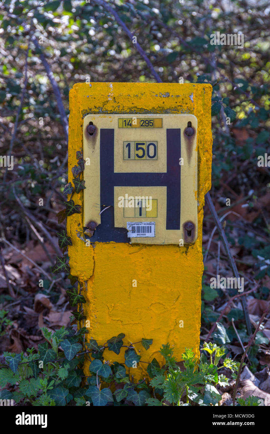 fire hydrant locator