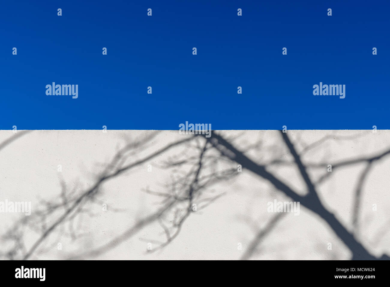 Blue sky and silhouettes of branches on a wall Stock Photo