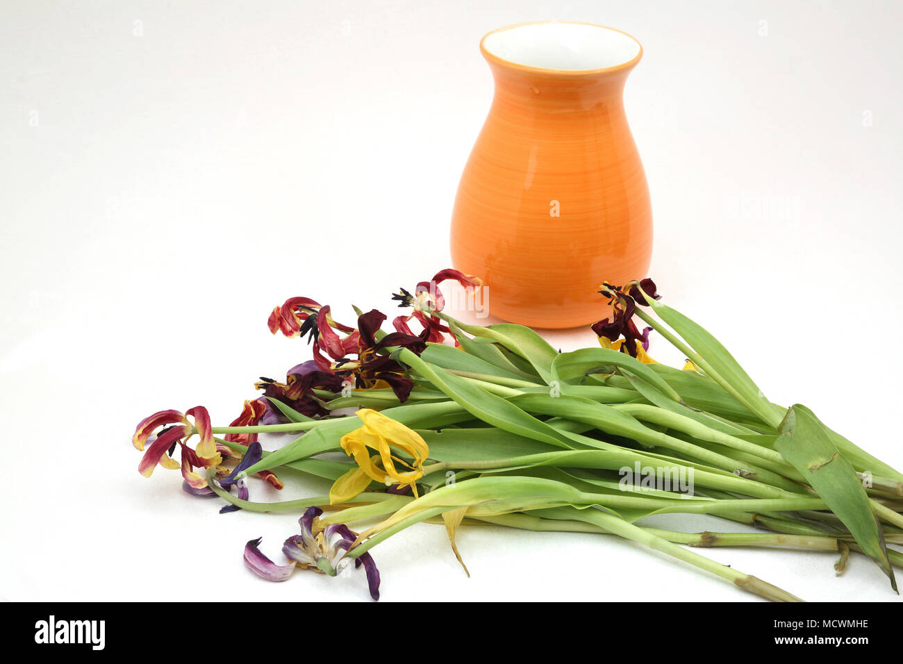 Dead Tulips and Orange Vase Stock Photo Alamy