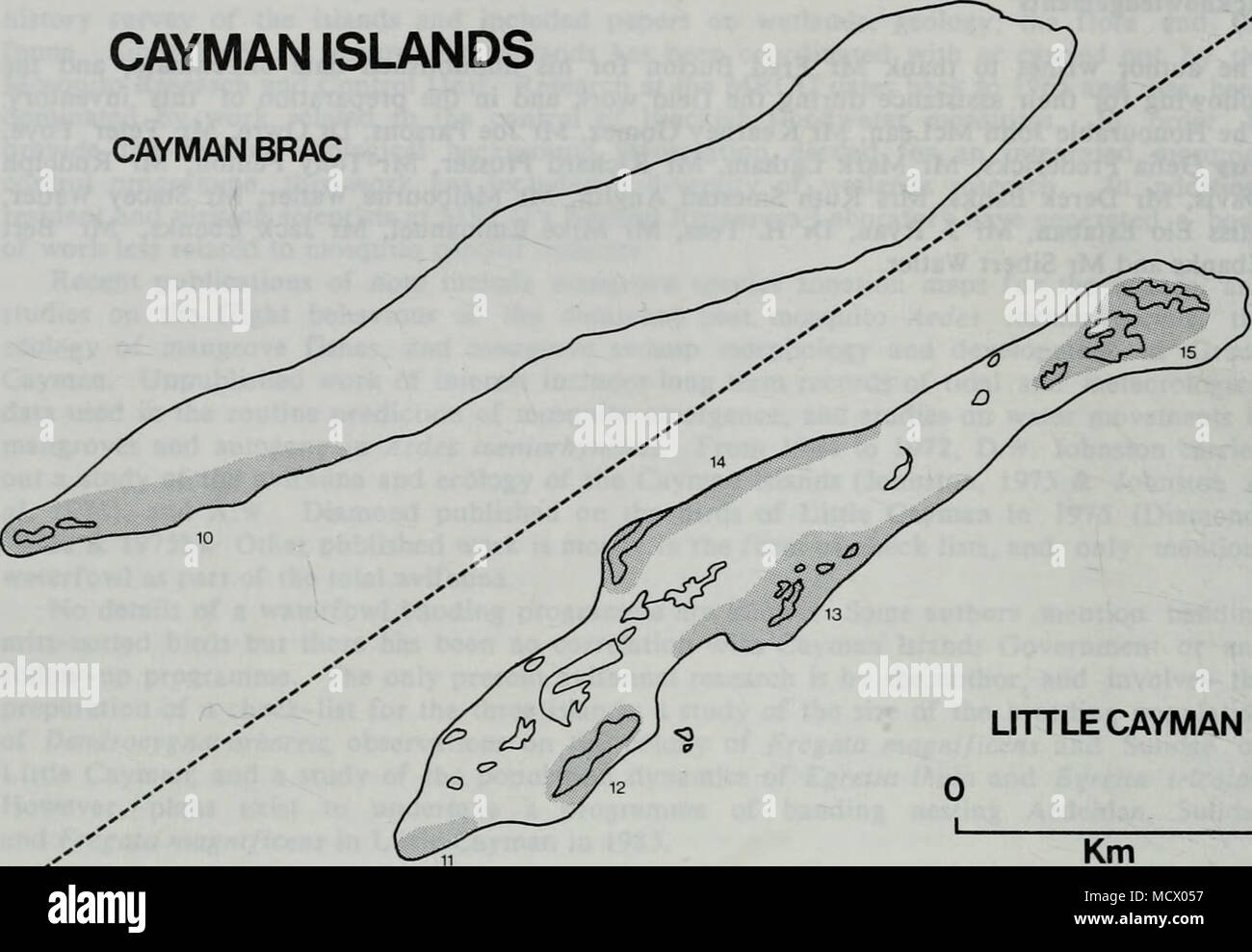 . LITTLE CAYMAN 5 GRAND CAYMAN Stock Photo Alamy