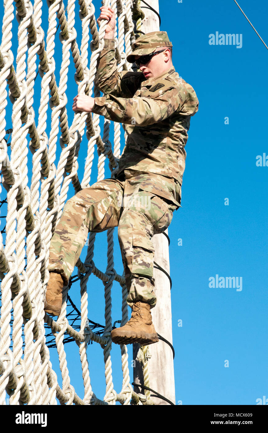 army climbing net