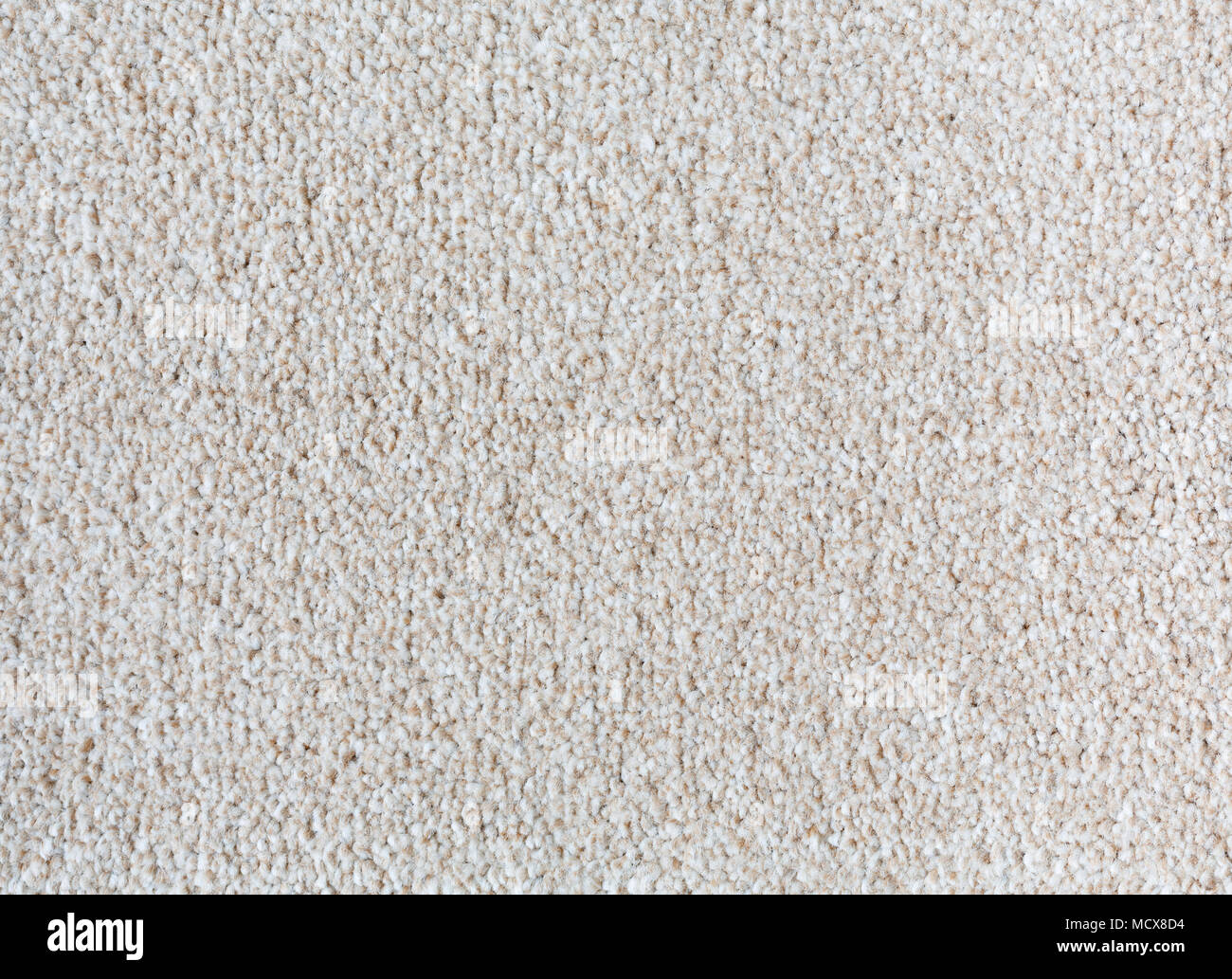 Carpet texture background in a neutral color closeup Stock Photo