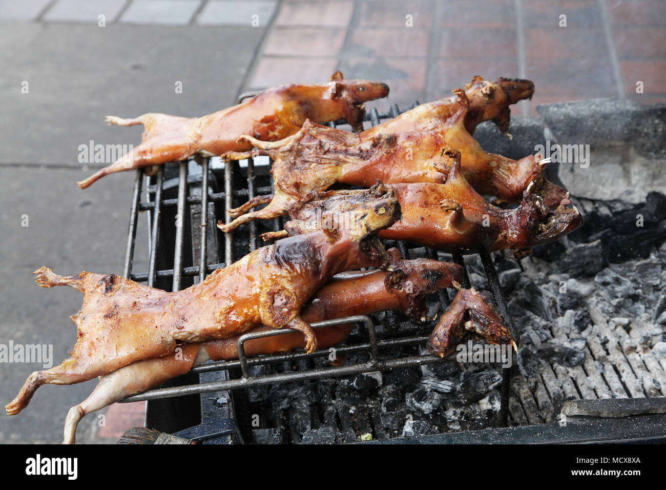 Roasted  Guinea pig.South American Delicacy.aka Cuy Stock Photo