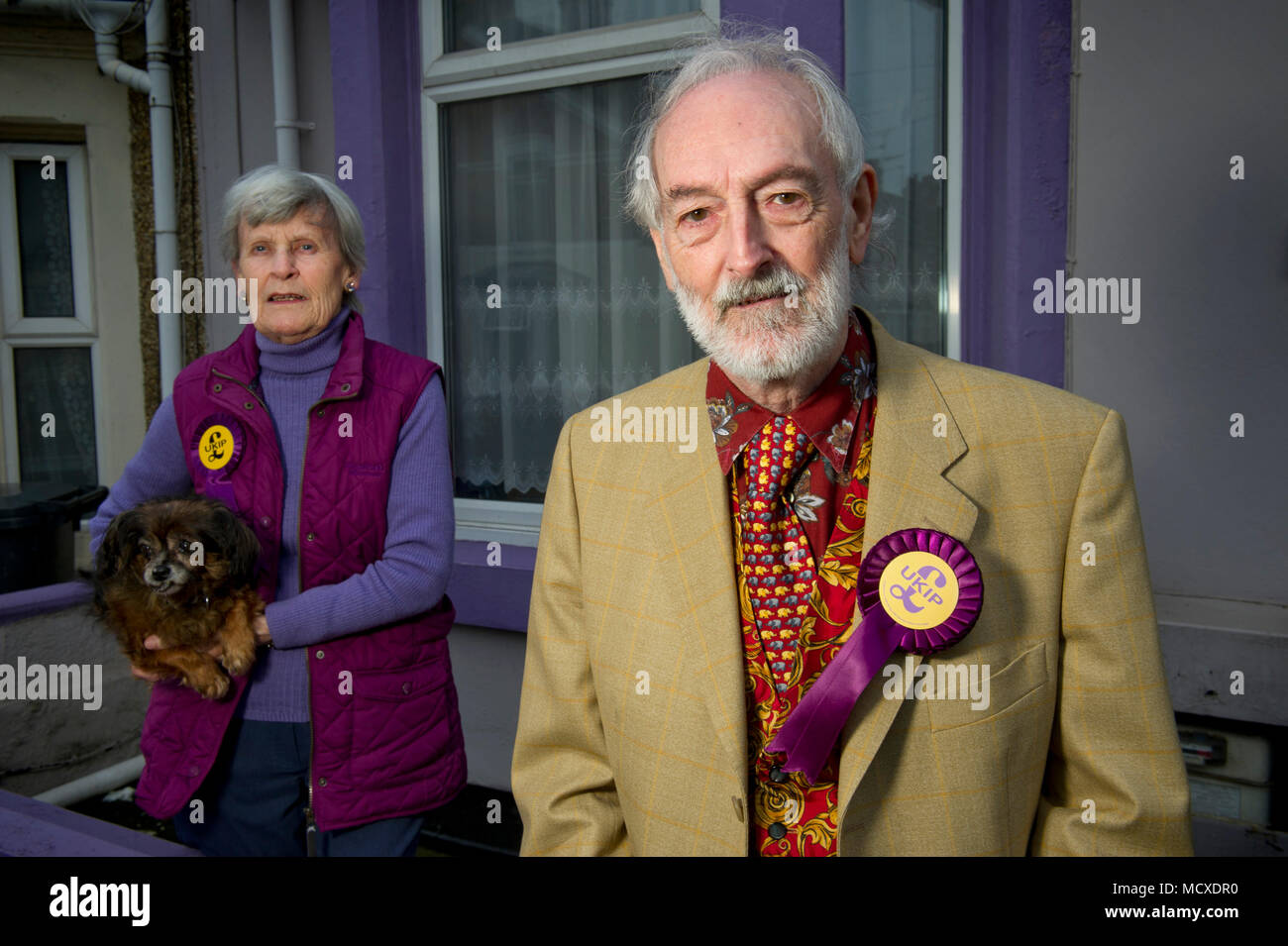Aubrey & Sheila Attwater, UKIP husband & wife candidates in Swindon Wiltshire, photographed in front of their purple (UKIP colour) painted house. Stock Photo