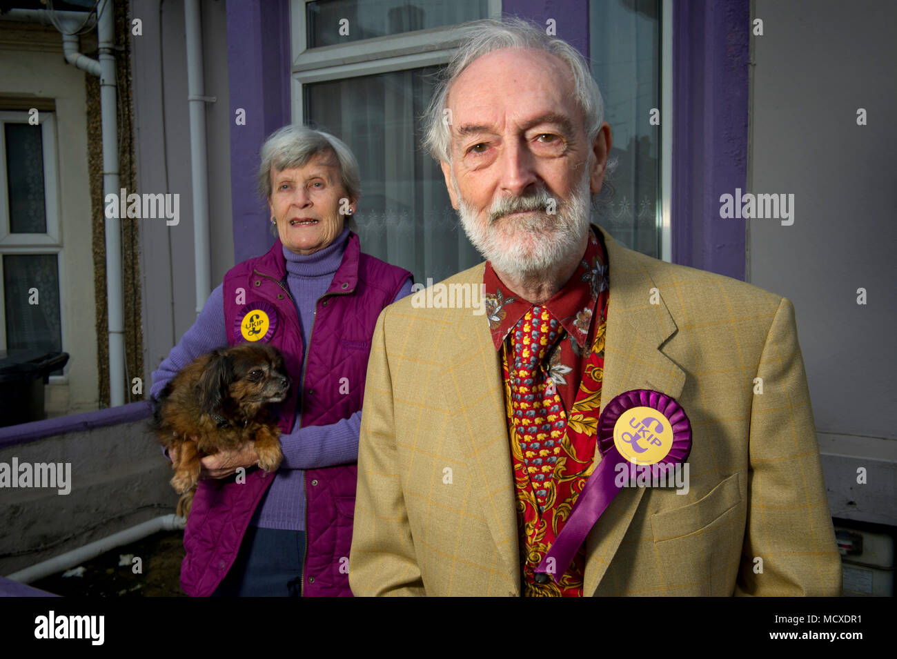 Aubrey & Sheila Attwater, UKIP husband & wife candidates in Swindon Wiltshire, photographed in front of their purple (UKIP colour) painted house. Stock Photo