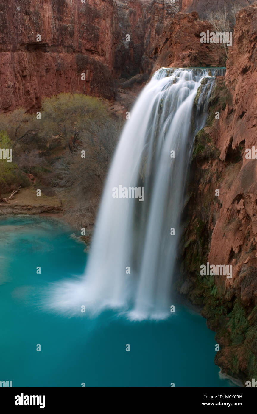 Tourism provides the main economic base providing jobs to the members of the Havasu tribe living on the Havasupai Indian Reservation in Arizona.  With Stock Photo