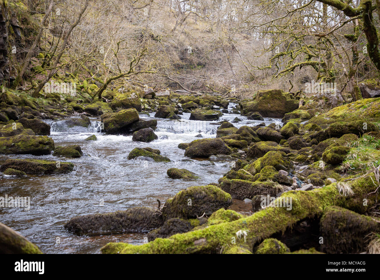 Waterfall Country, Four Waterfalls - Brecon Beacons, National park ...