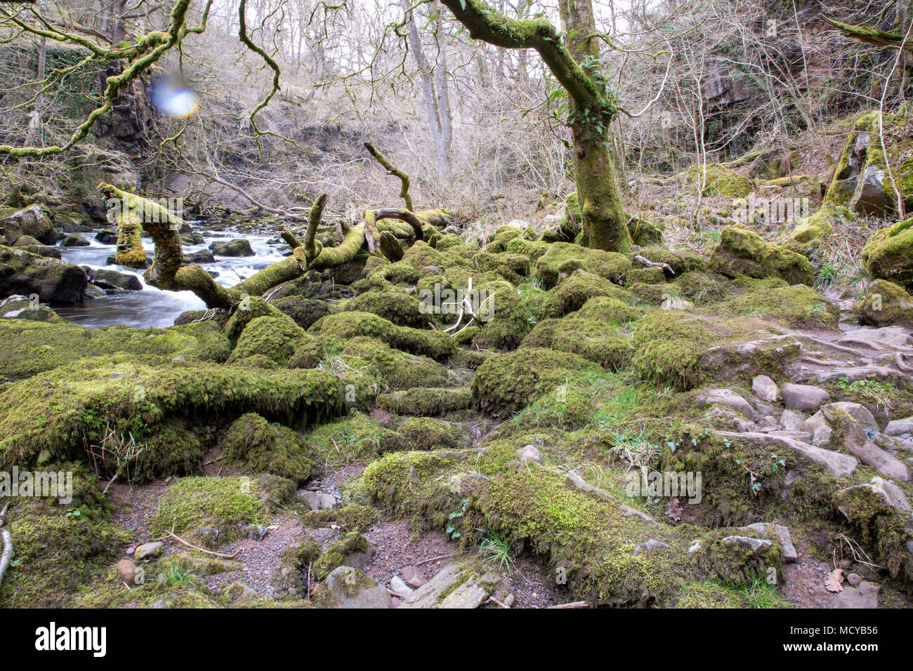 Waterfall Country, Four Waterfalls - Brecon Beacons, National park ...