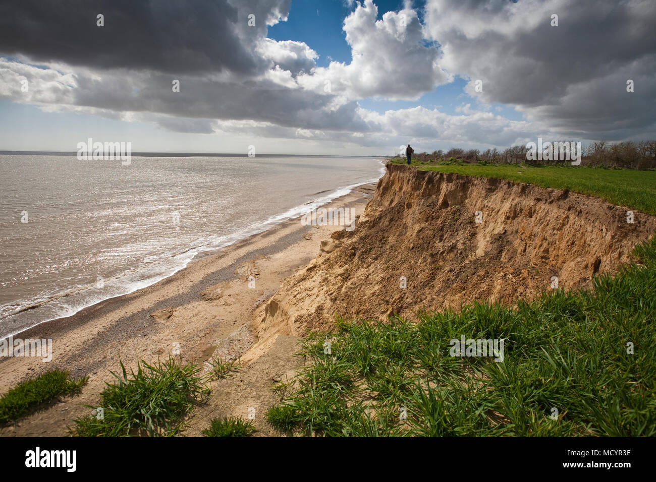 Benacre national nature reserve suffolk hi-res stock photography and ...