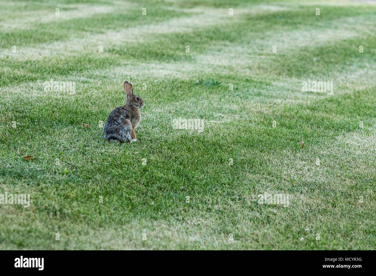 Surveying environment hires stock photography and images Alamy
