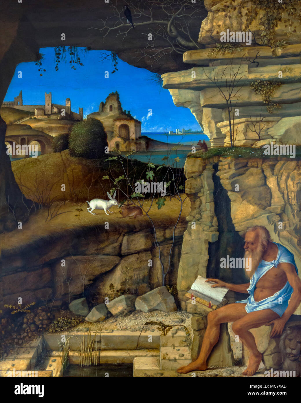 Saint Jerome Reading, Giovanni Bellini, 1505, National Gallery of Art, Washington DC, USA, North America Stock Photo