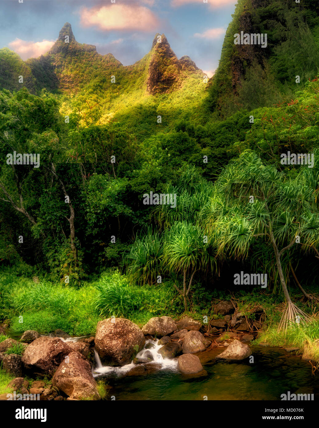Plants in Limahuli Gardens with Makana Mountain Ridge. Kauai, Hawaii Stock Photo Alamy
