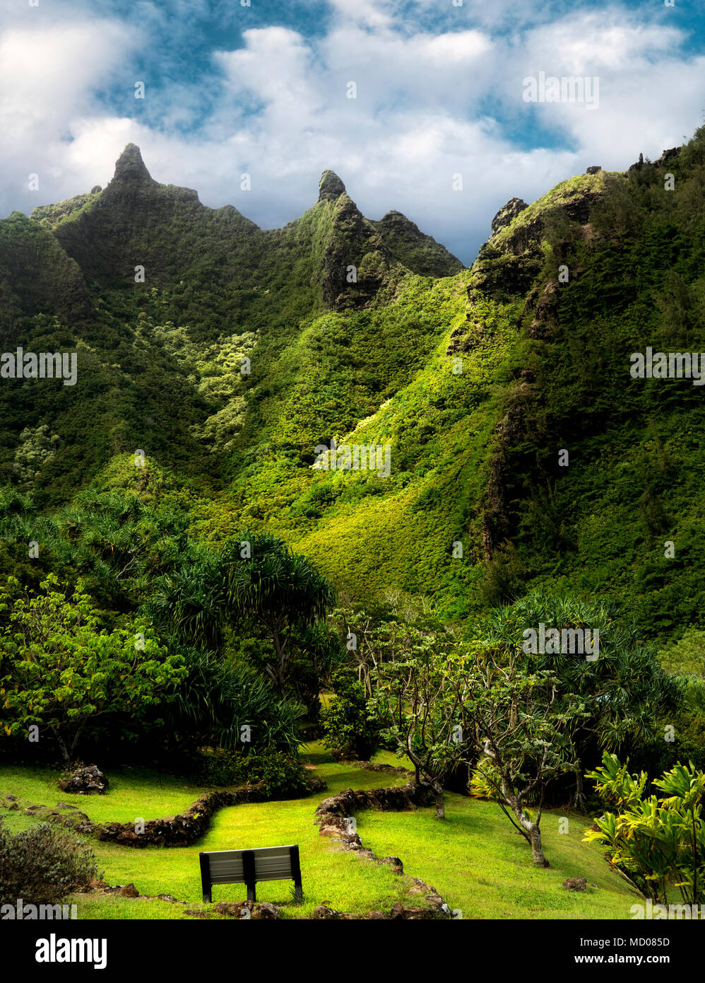 View of trraces and Makana Mountain ridge. Limahuli Gardens, Kauai, Hawaii Stock Photo Alamy