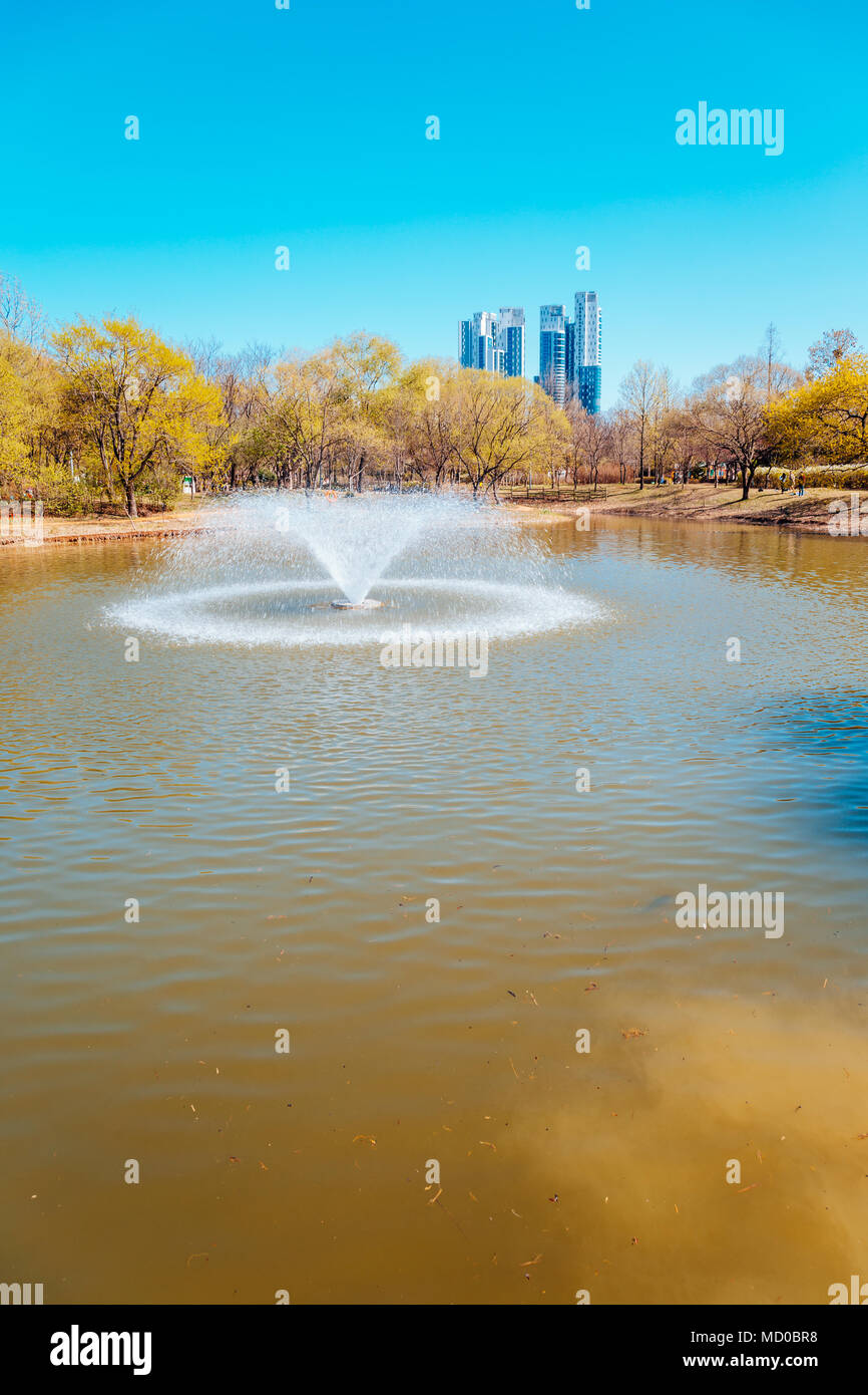 Fountain on pond at Seoul forest park in Korea Stock Photo