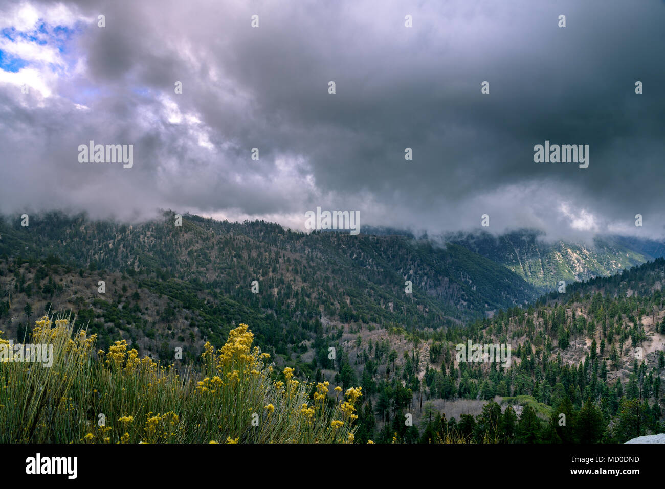 A mountain storm and Fog rolls in over California Mountains Stock Photo