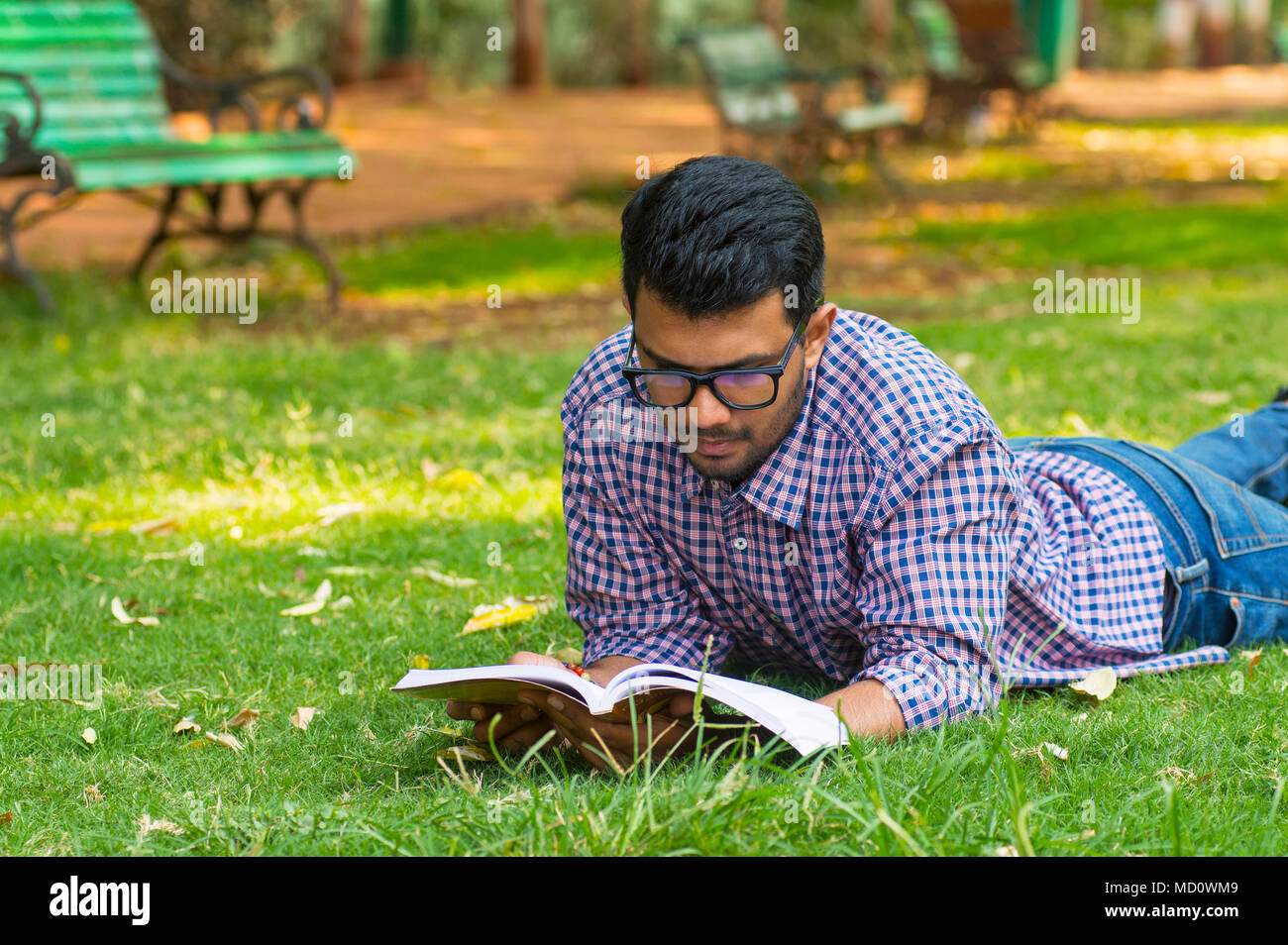 Handsome young boy reading while lying on grass in park Stock Photo