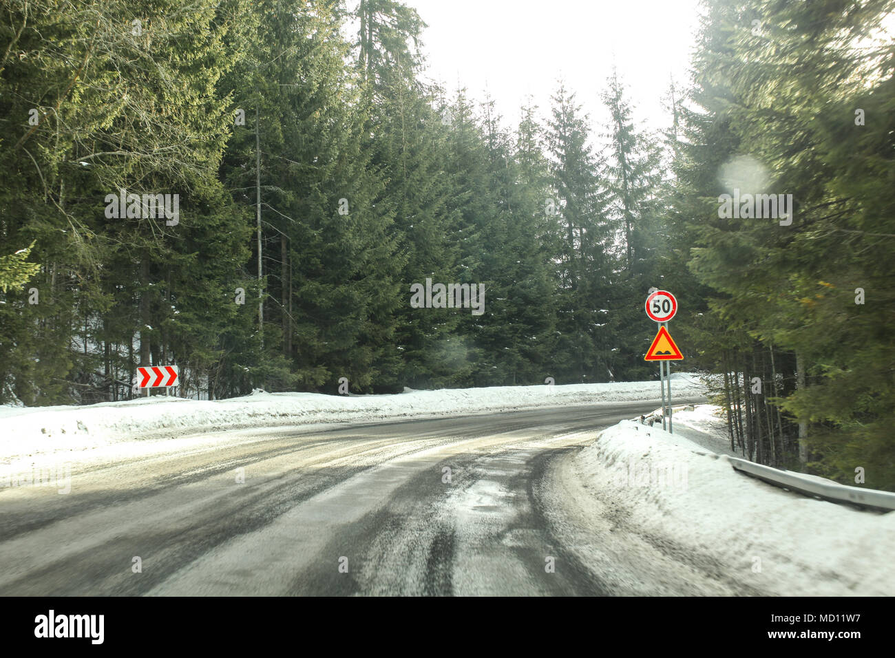 Driver view on sharp road curve, partially covered with snow in coniferous forest, with strong blinding sun light. Speed limit 50 and bumps sign to il Stock Photo