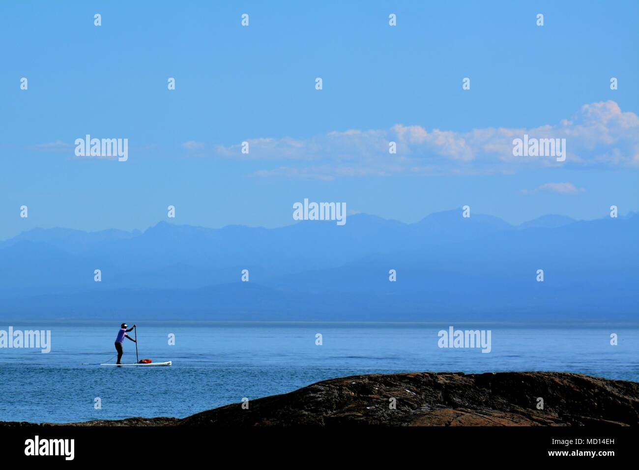 Stand up paddleboarding hires stock photography and images Alamy
