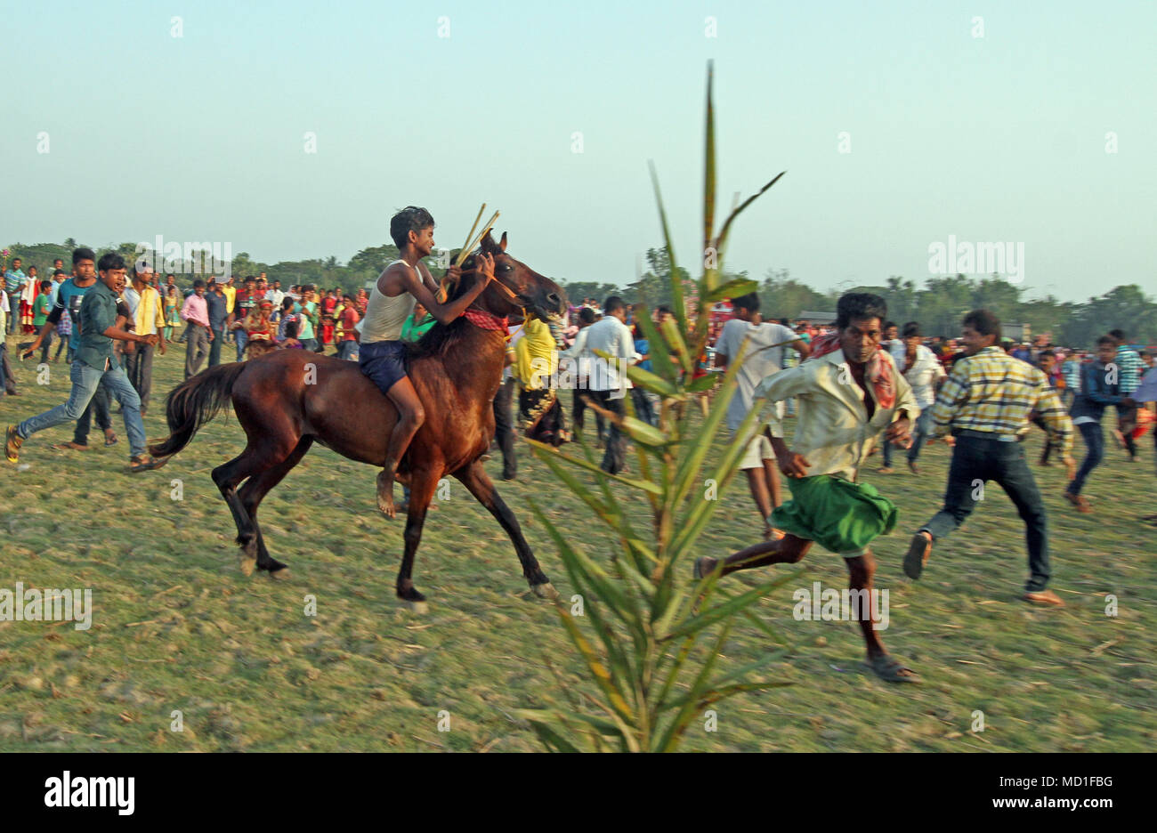 Mathurapur, India. 16th Apr, 2018. Villagers gathered to see the horse during Rural Horse race in annual Baisakhi fair. Credit: Subhashis Basu/Pacific Press/Alamy Live News Stock Photo