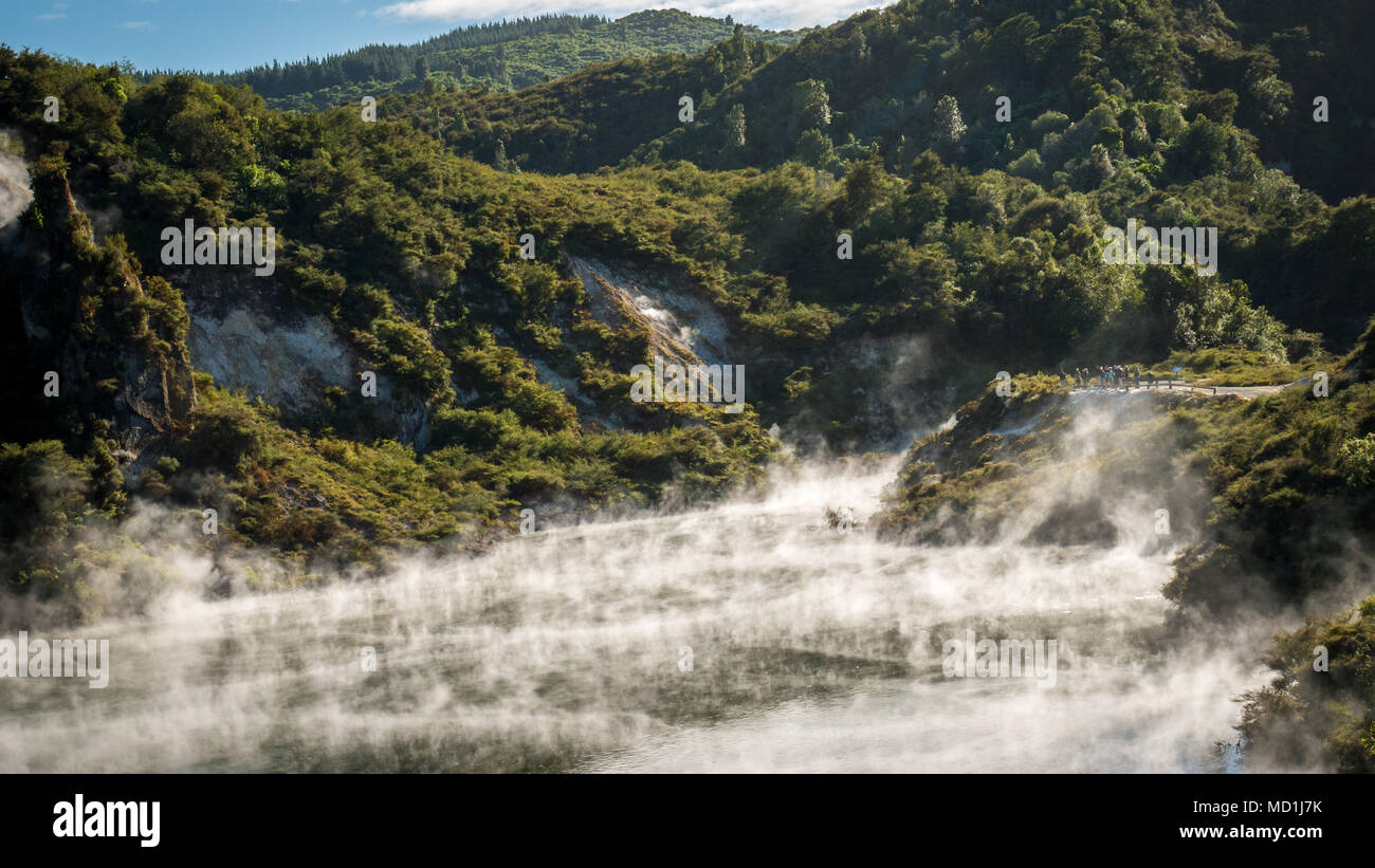 Boiling and steaming geothermal lake detail. Shot at Waimangu Volcanic Valley, Rotorua region of New Zealand Stock Photo