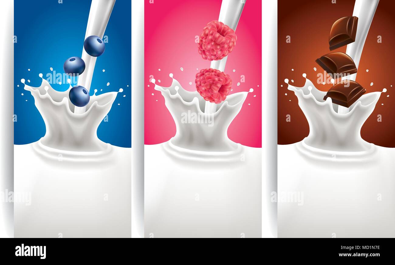 milk splash with blueberry, raspberry, chocolate Stock Vector
